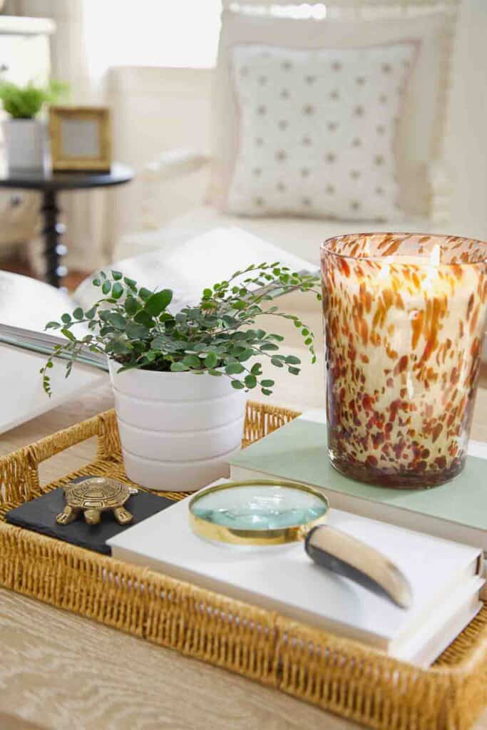 books in a low sided basket on a coffee table