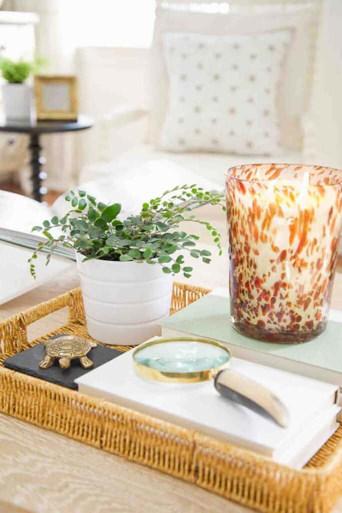 VIGNETTE IN A BASKET WITH CANDLE AND PLANT