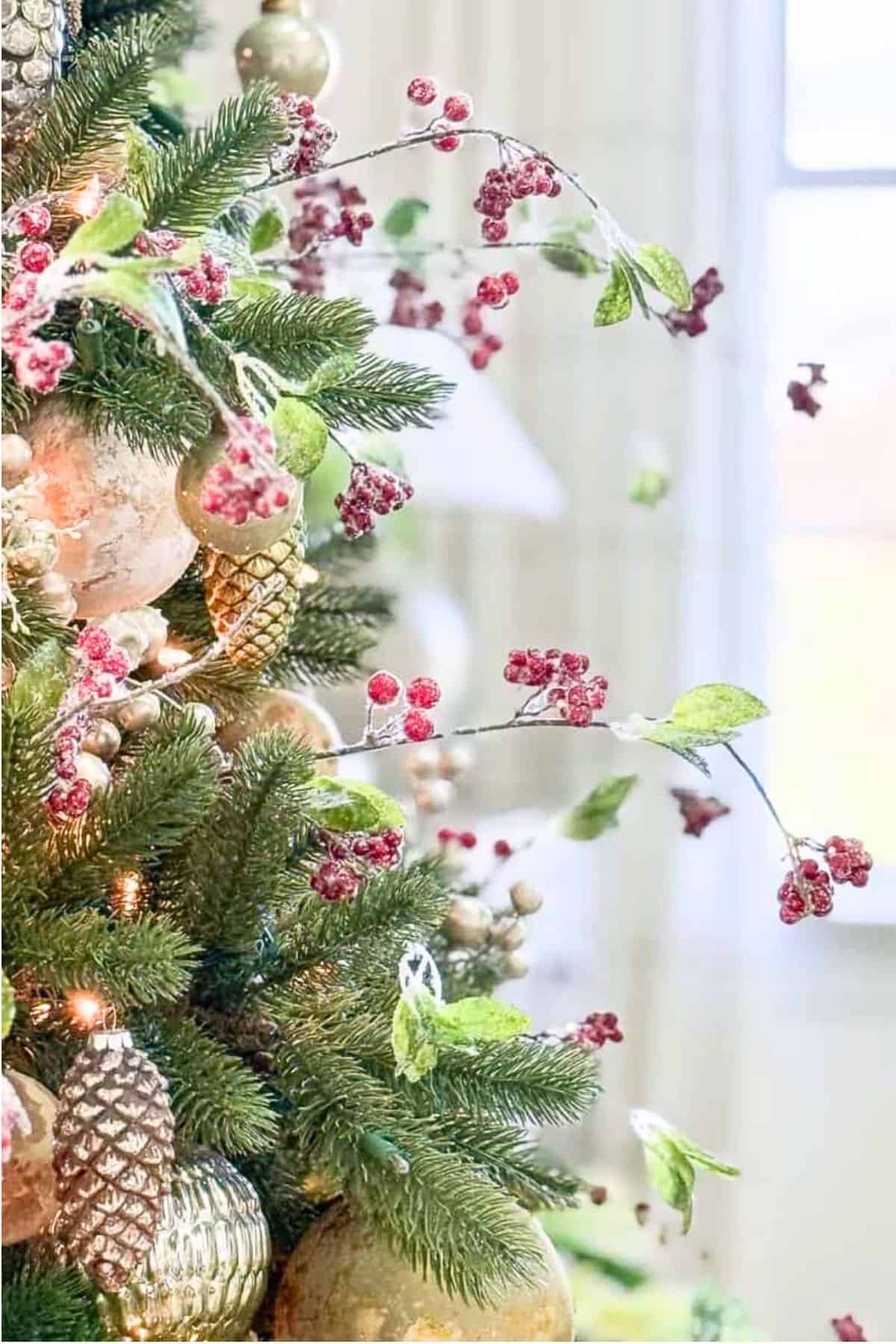 Side of Christmas tree