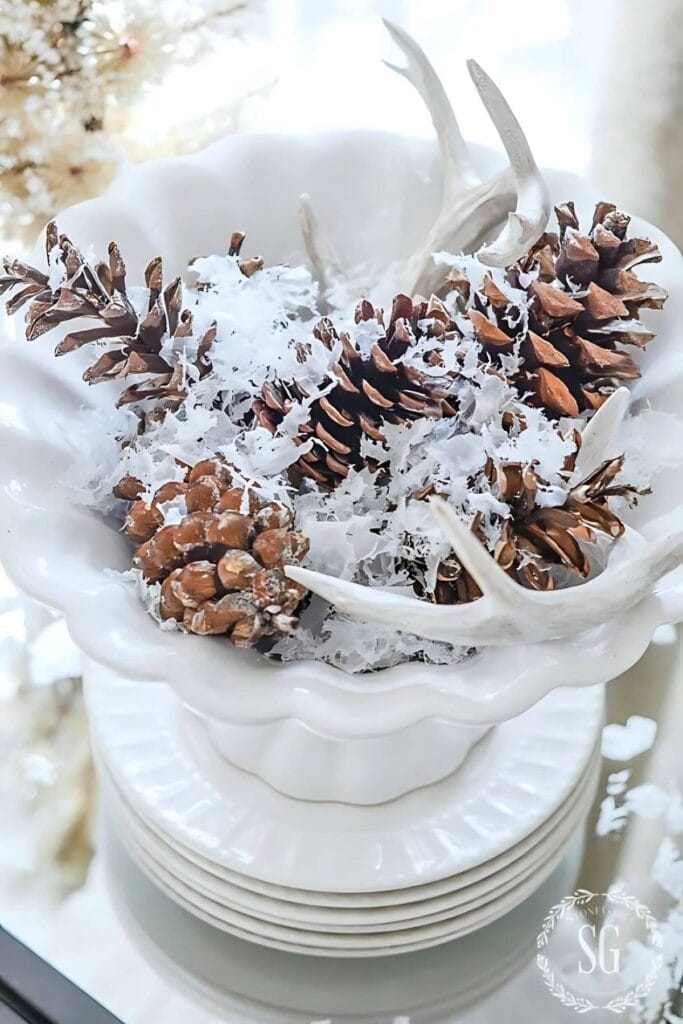 White bowl of pinecones