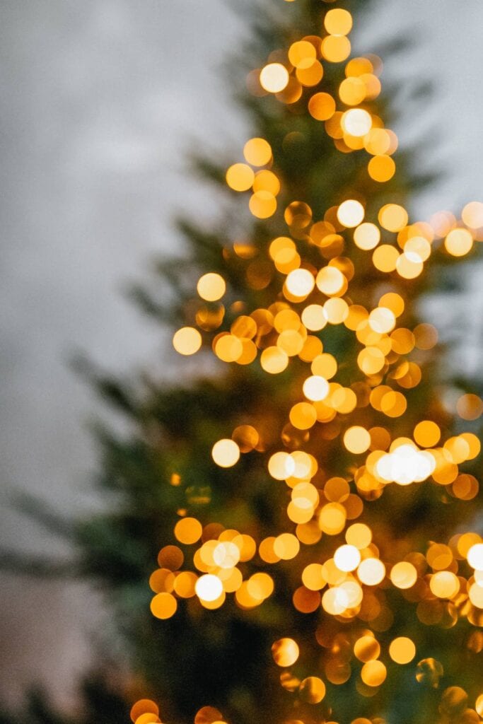 Christmas tree with just lights