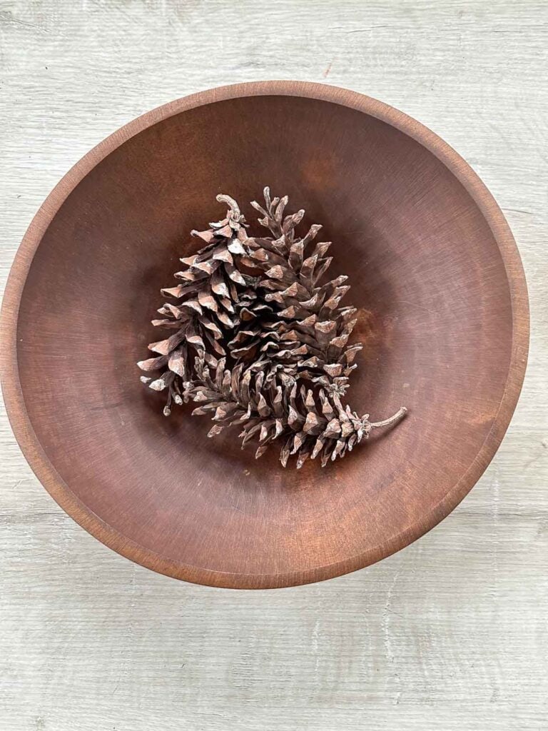 pinecones in a dough bowl