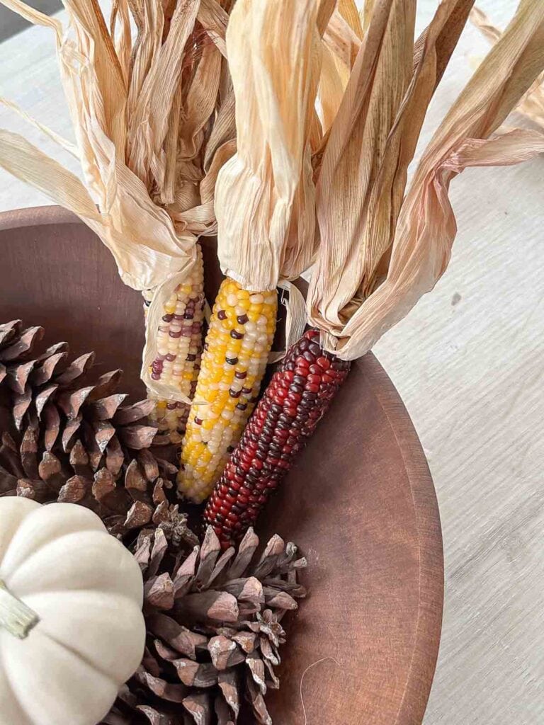 Indian corn in dough bowl