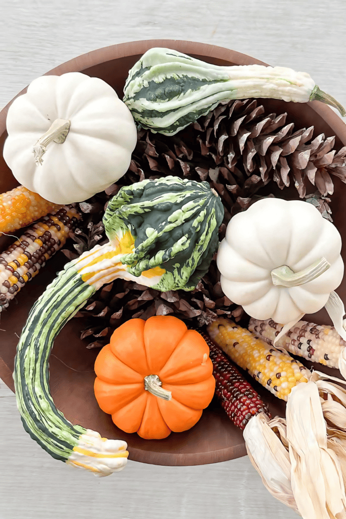 gourd, assorted pumpkins