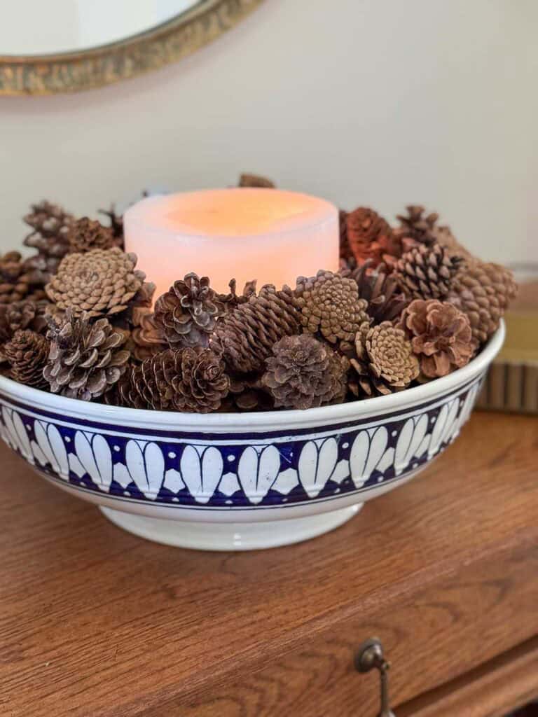large blue and white bowl filled with organic pinecones