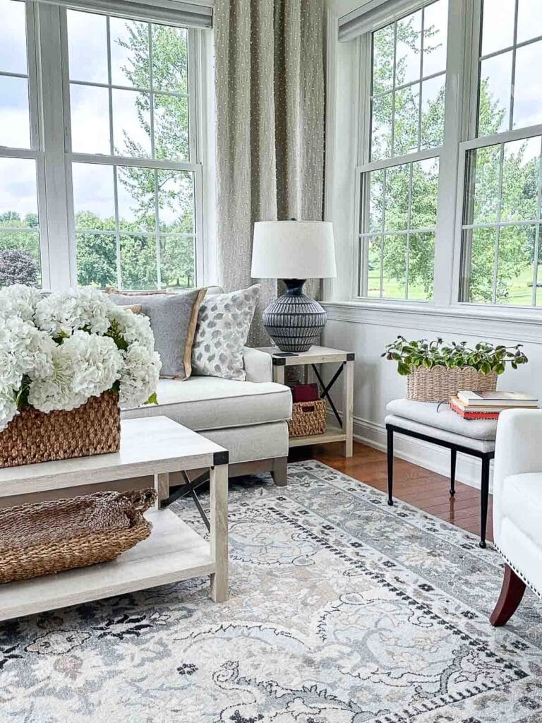 sunroom with furniture and plants