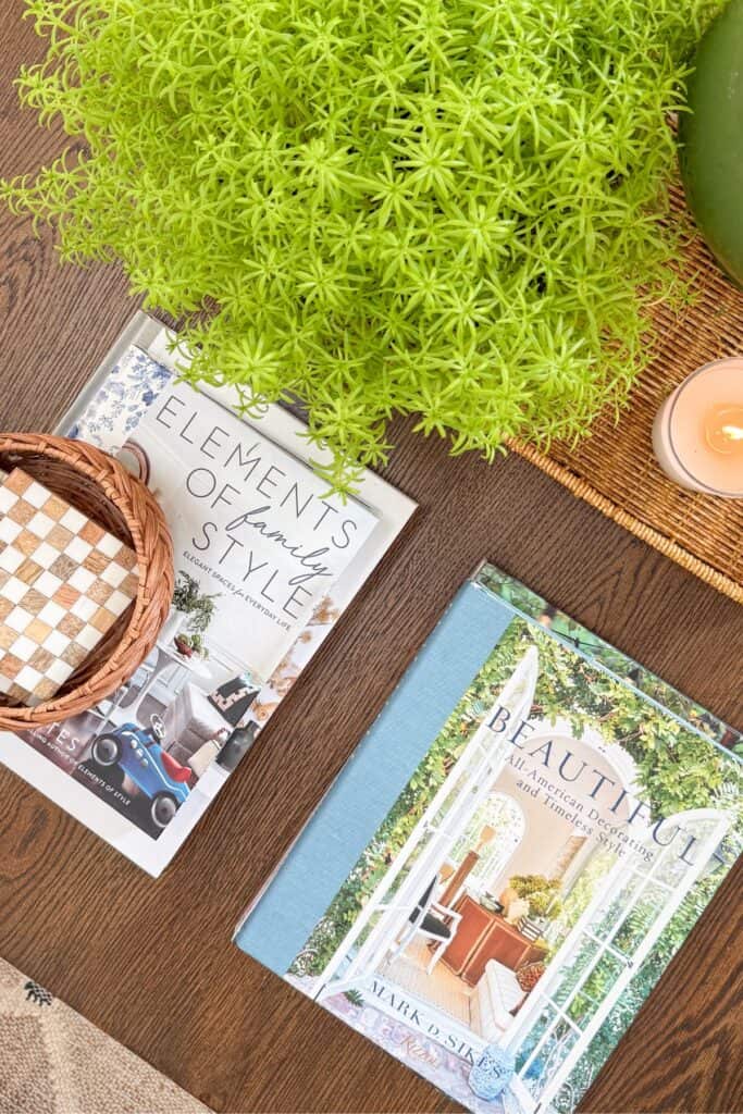 Detail of coffee table styling with green plant, ginger jar, and candle grouped in threes