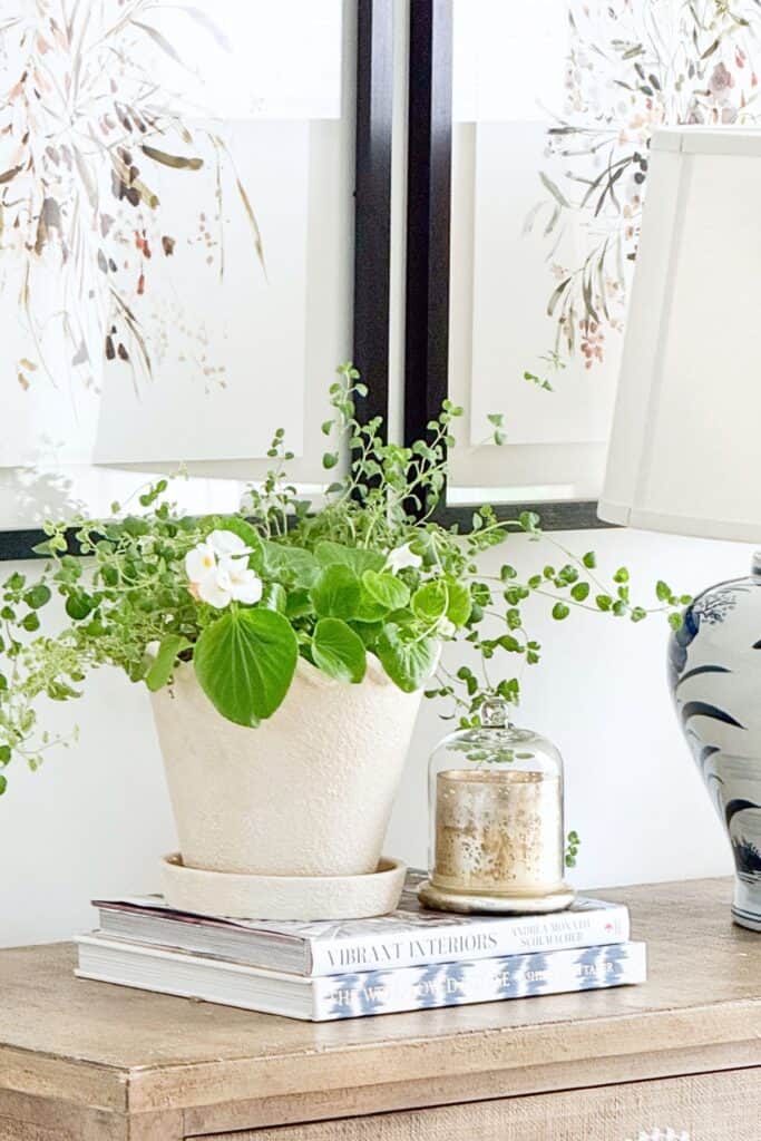 Layered vignette with potted plant, glass cloche candle, and stack of books on a console table showing the rule of three