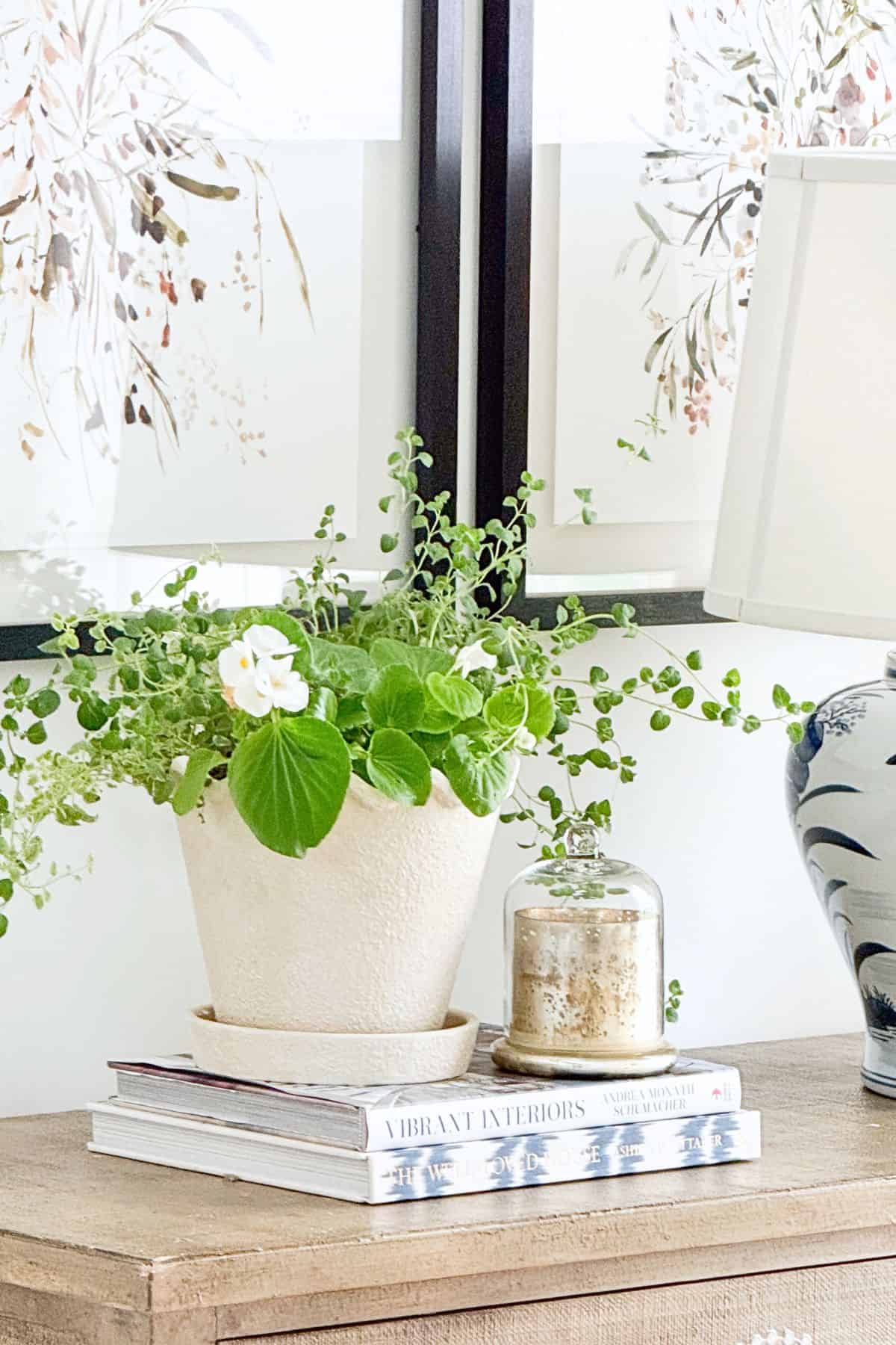 Layered vignette with potted plant, glass cloche candle, and stack of books on a console table showing the rule of three