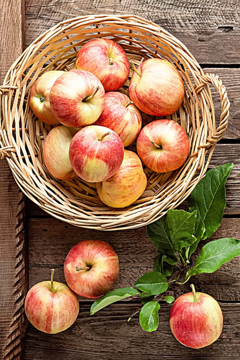 On The Menu: First Week Of September