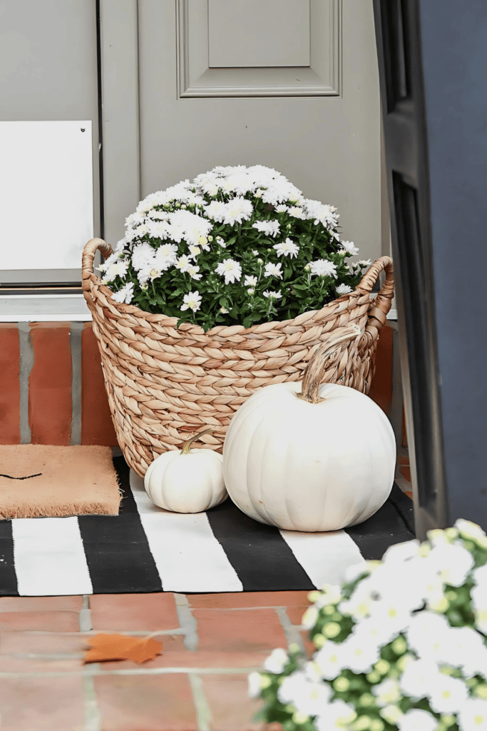 PRESERVING PUMPKINS AND GOURDS- PUMPKINS ON THE FRONT PORCH