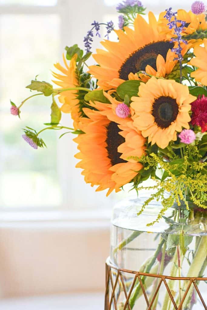 sunflowers in a vase
