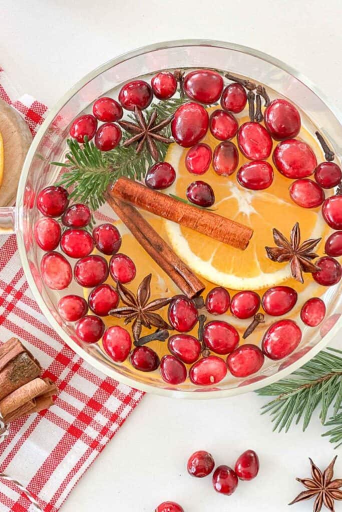 Christmas simmer pot with cranberries