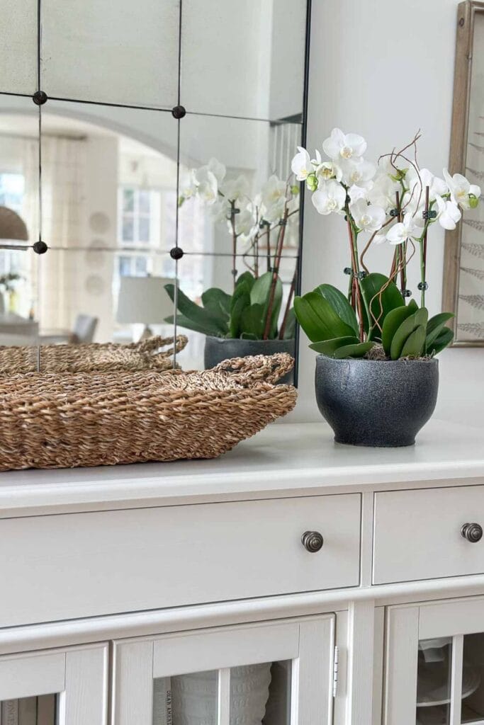 orchids in a trendy pot on a white buffet