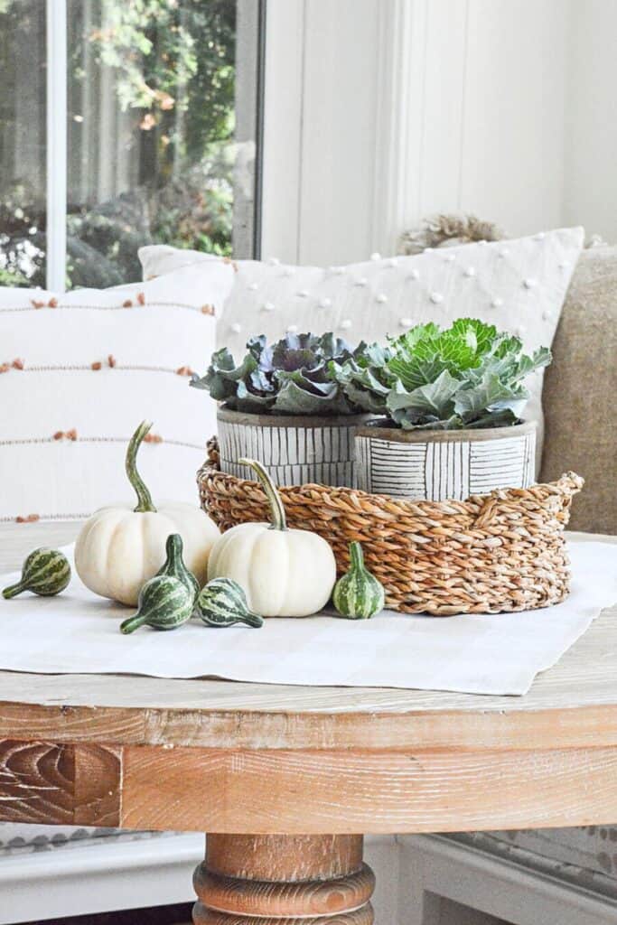 ornamental cabbage in a basket, pumpkins on a round table