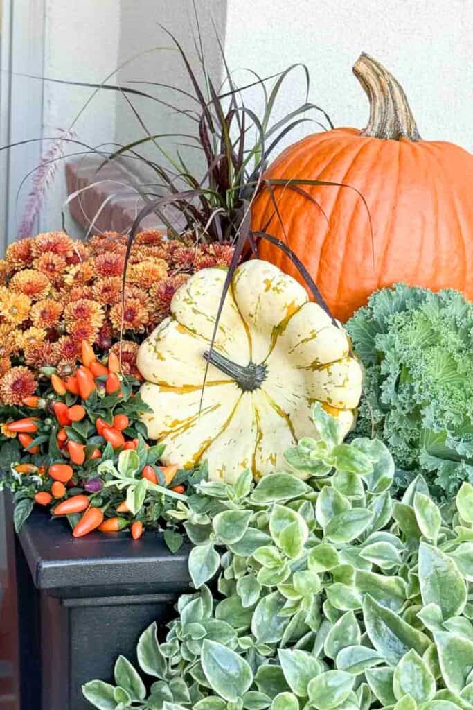 pumpkin and large gourd in a fall planter on a fall decorated porch