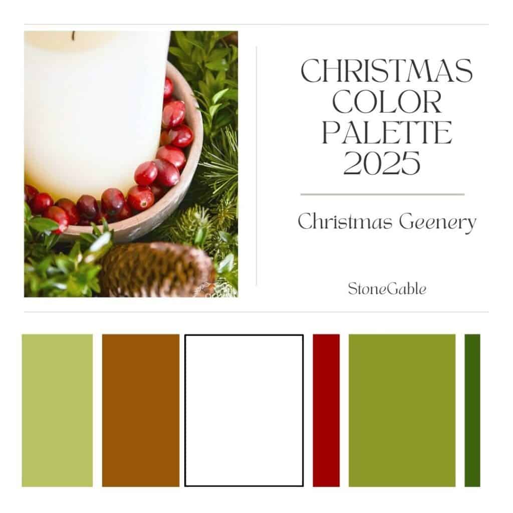 graphic for Christmas color palette 2025
