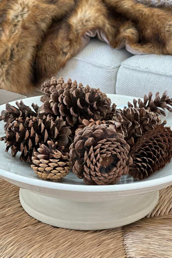 pinecones in a white shallow bowl and a sofa with a fur throw in the background