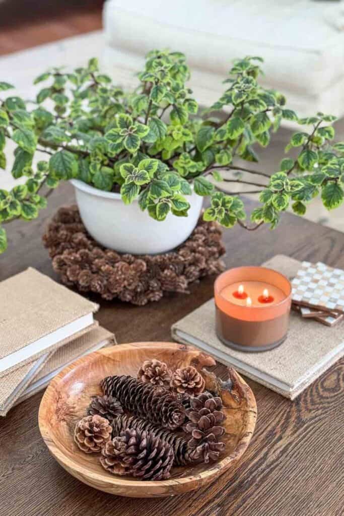 winter coffee table vignette