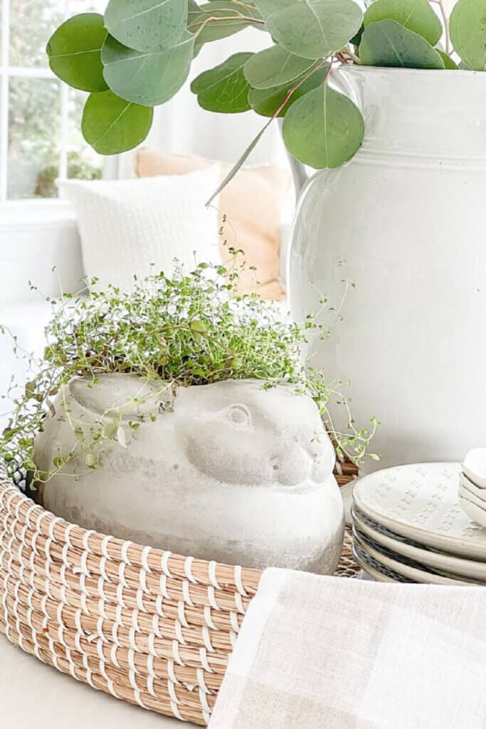 greens and herbs in a spring vignette
