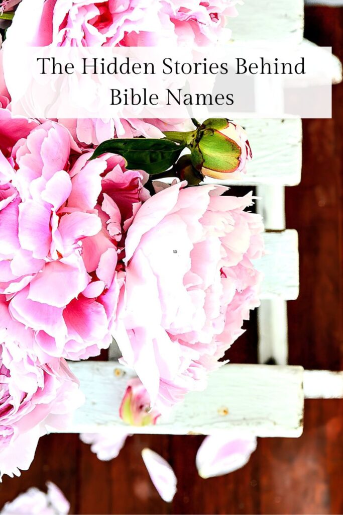 Peonies on a white bench