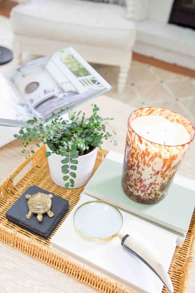 TOP VIEW OF VIGNETTE