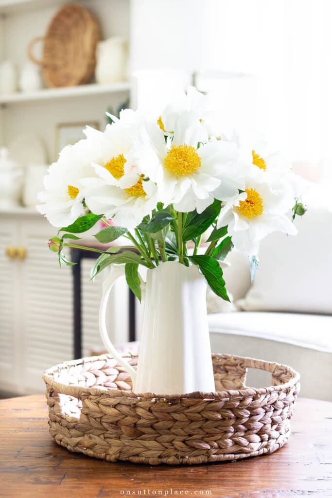 white flowers in a white pitcher