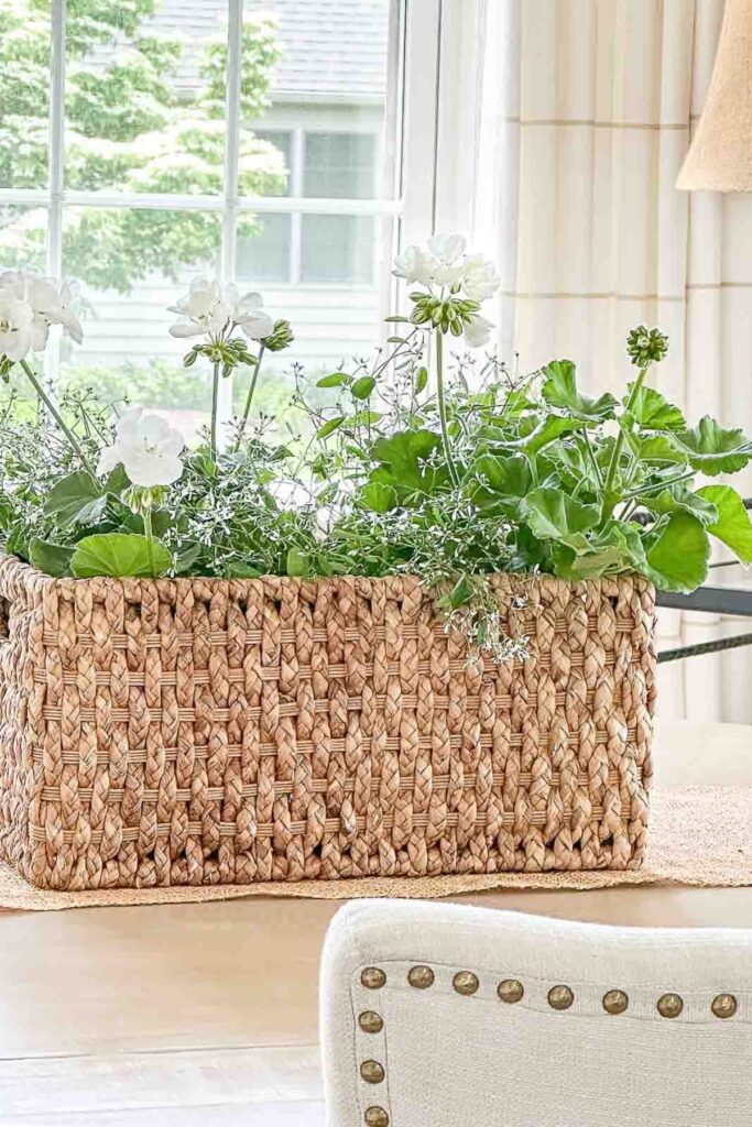 Lush variegated plant in a large woven basket centerpiece flanked by brass candlesticks on a jute placemat on a dining table