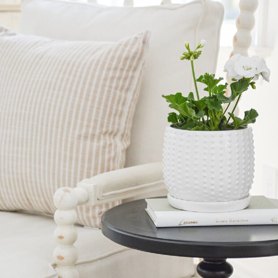 a white geranium in a white pot next to a white spindle chair