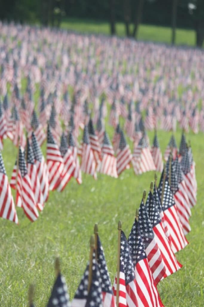 flags at a national cemetary
