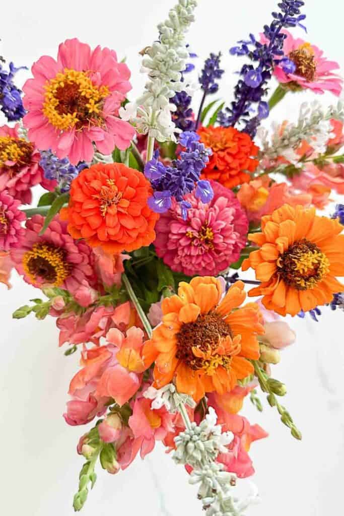 a vibrant freshly cut bouquet of orange and pink zinnias, coral snapdragons, purple salvia, and lobelia cut from a container garden against a white background
