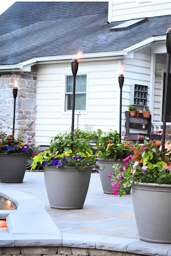 large gray round planters overflowing with colorful summer annuals including petunias, marigolds, and sweet potato vine on a stone patio at dusk with tiki torches glowing in the background