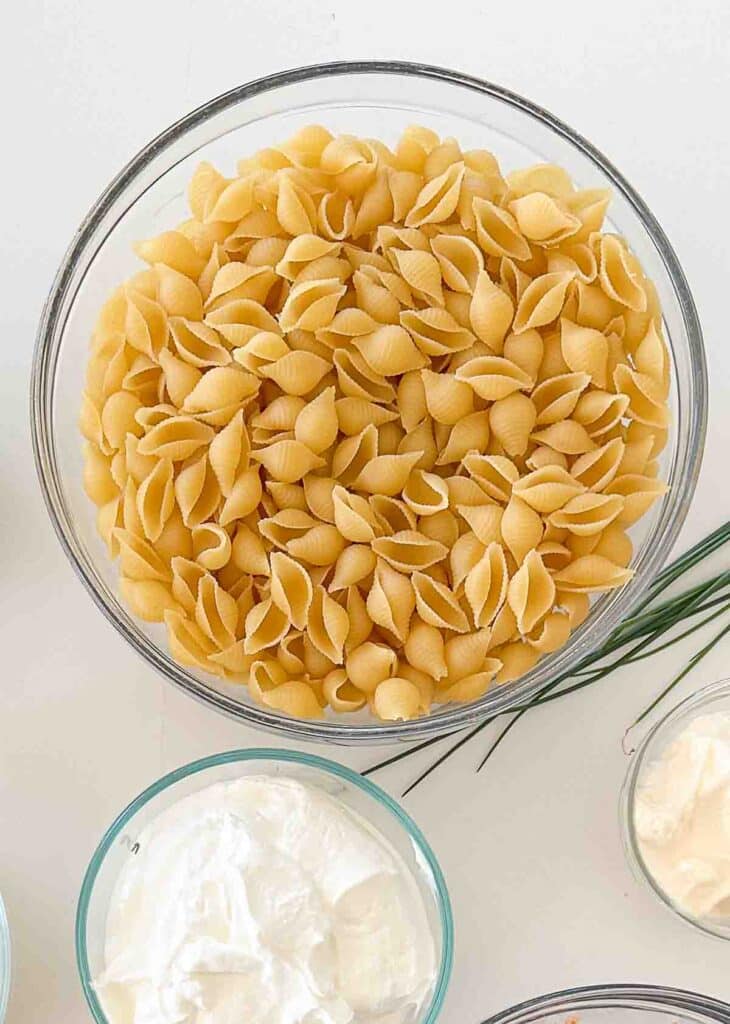 Bacon Ranch Pasta Salad- bacon topped pasta salad