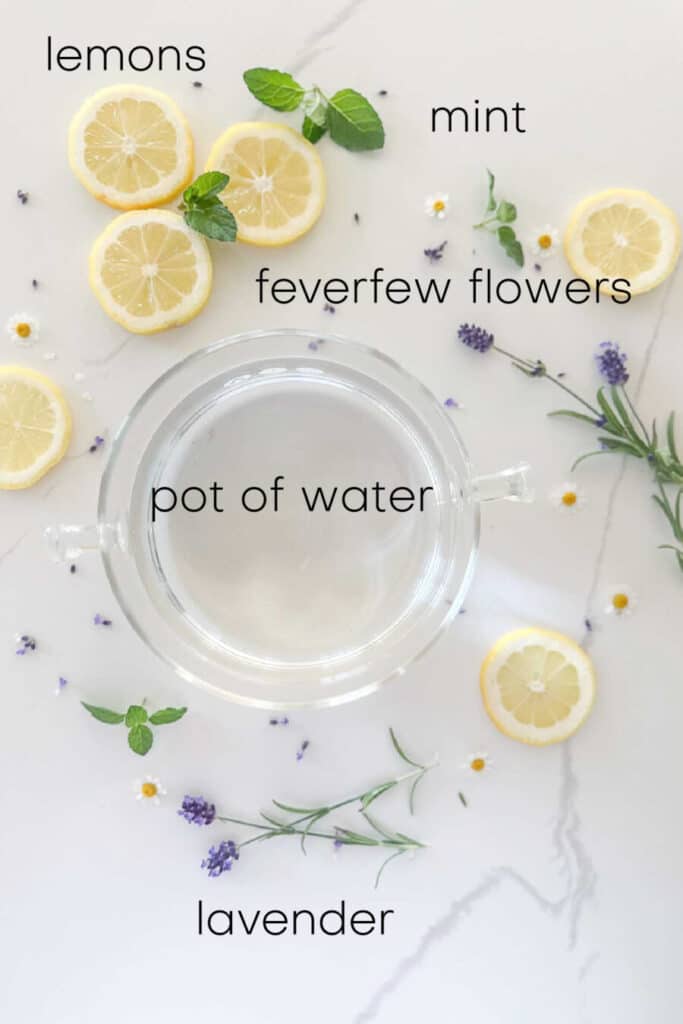 ingredients for a summer simmer pot