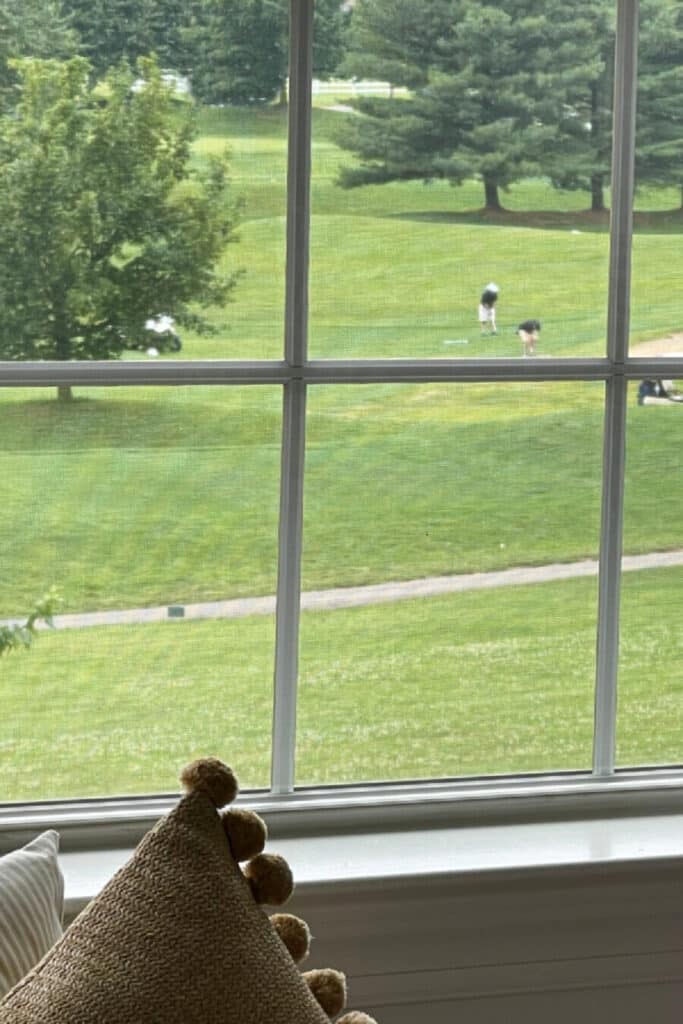 VIEW FROM THE SUMMER GUEST ROOM