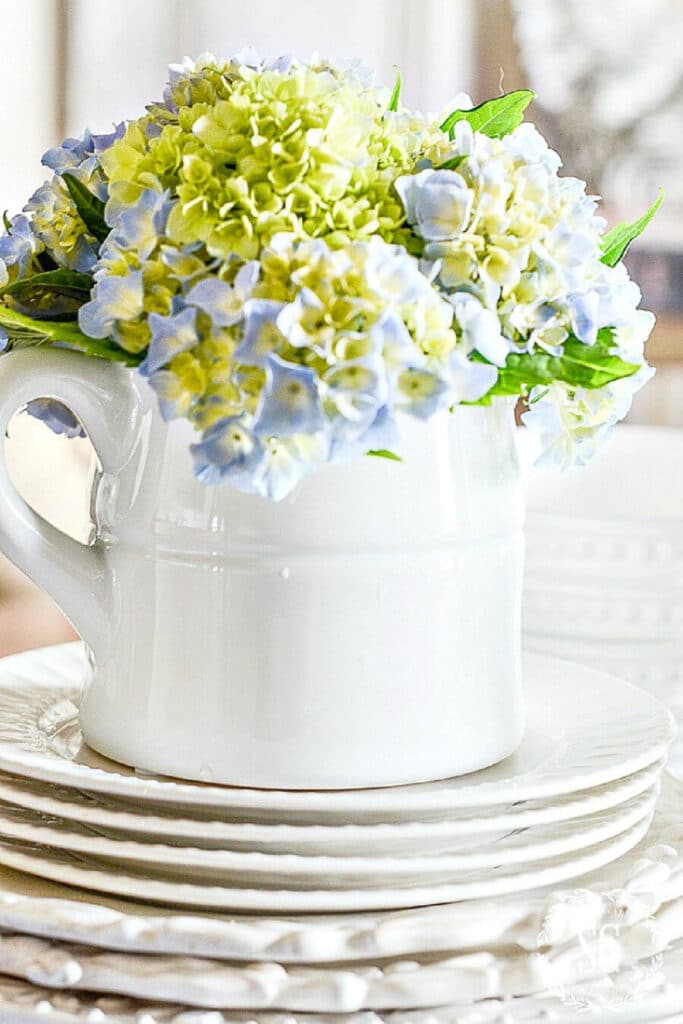 hydrangeas in a stout white pitcher