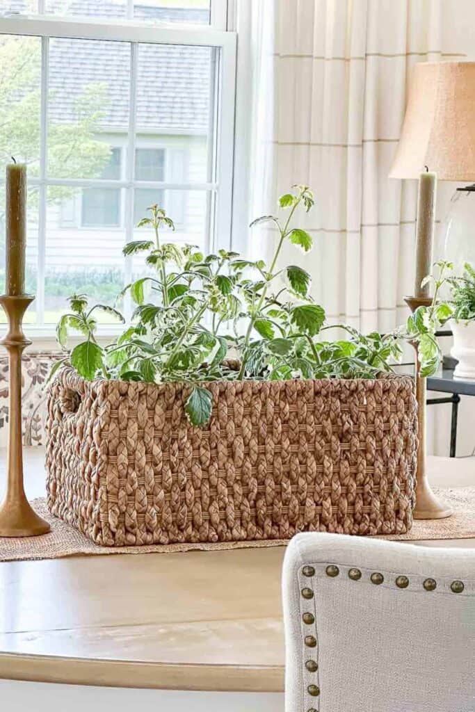 easy dining table centerpiece ideas with greenery in a basket and candles on a table runner