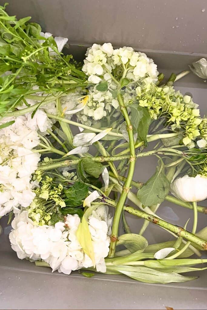 hydrangeas in a sink with water