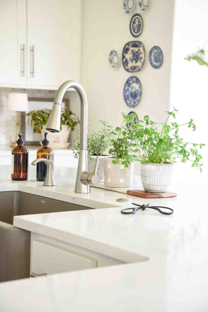 kitchen sink with herbs