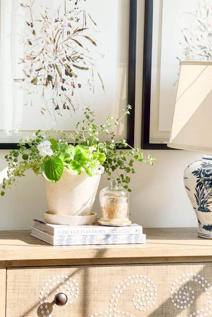 Morning sunlight highlighting a textured white planter and trailing greenery beside a blue and white chinoiserie lamp