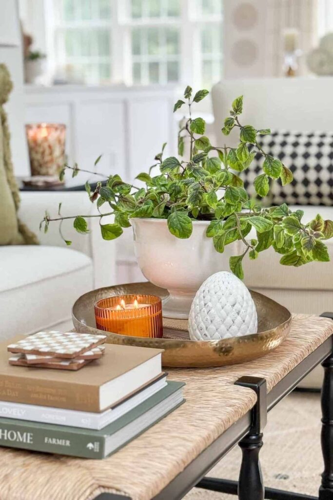 Coffee table styled with a potted plant, candle, and books for easing into fall