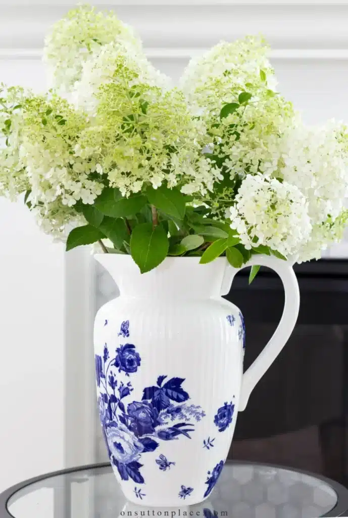 limelight hydrangeas in a blue and white vase
