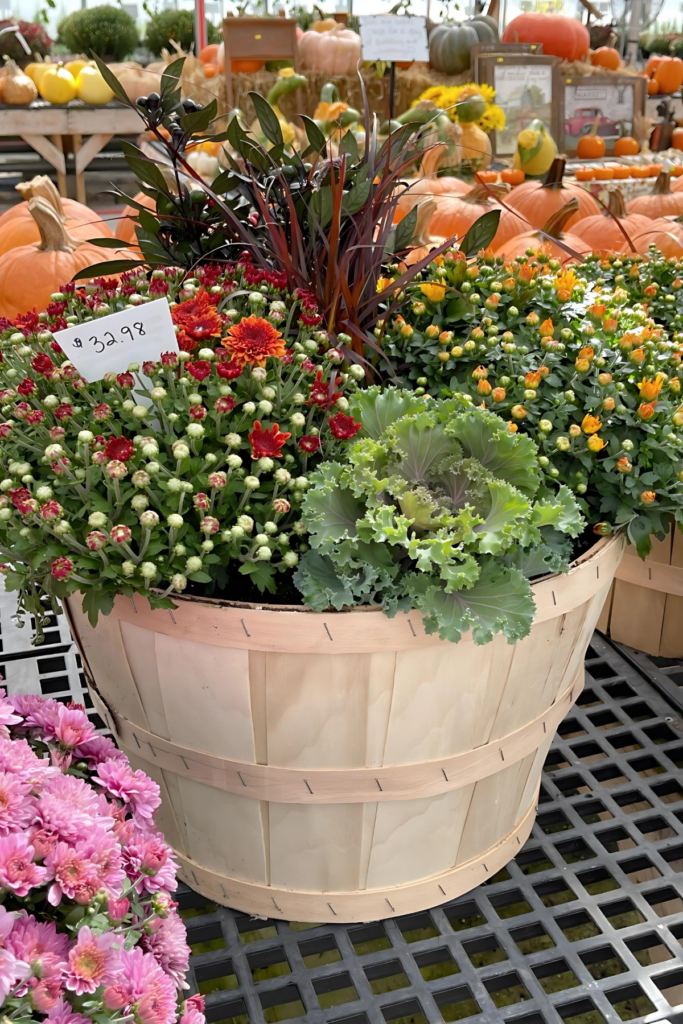 FALL PLANTER - DESIGNER PLANTERS IN BUSHEL BASKET