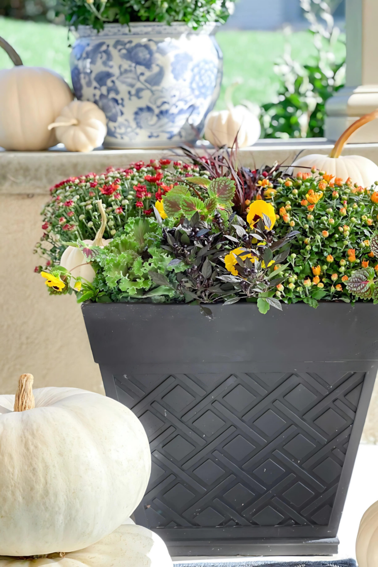 FALL PLANTER IN A BLACK CONTAINER
