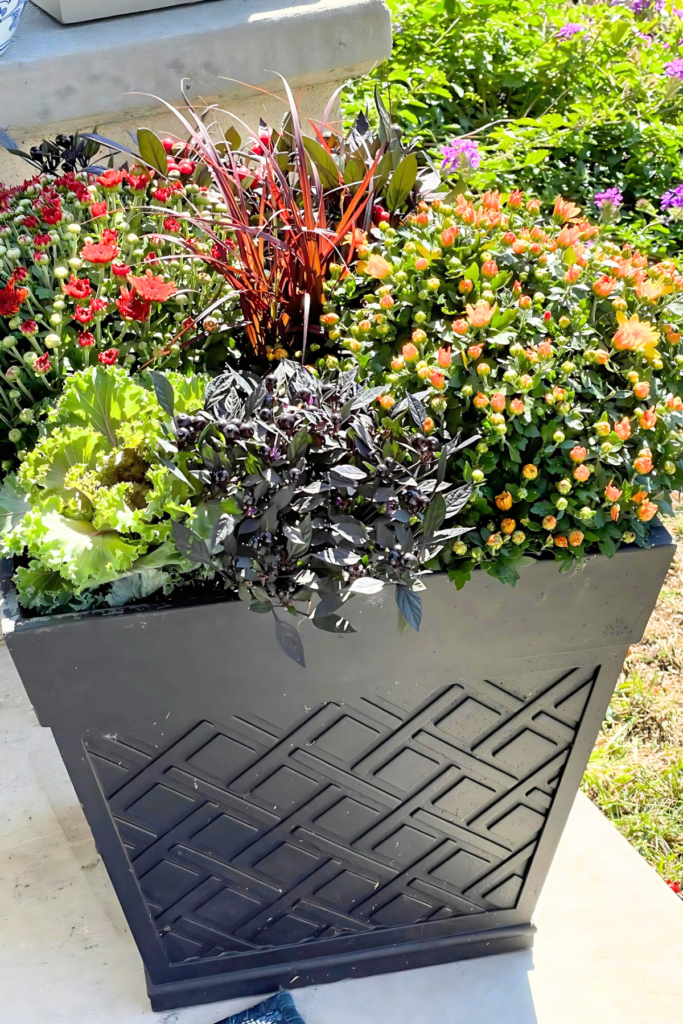 FALL PLANTER -PLANTS IN MY CONTAINERS