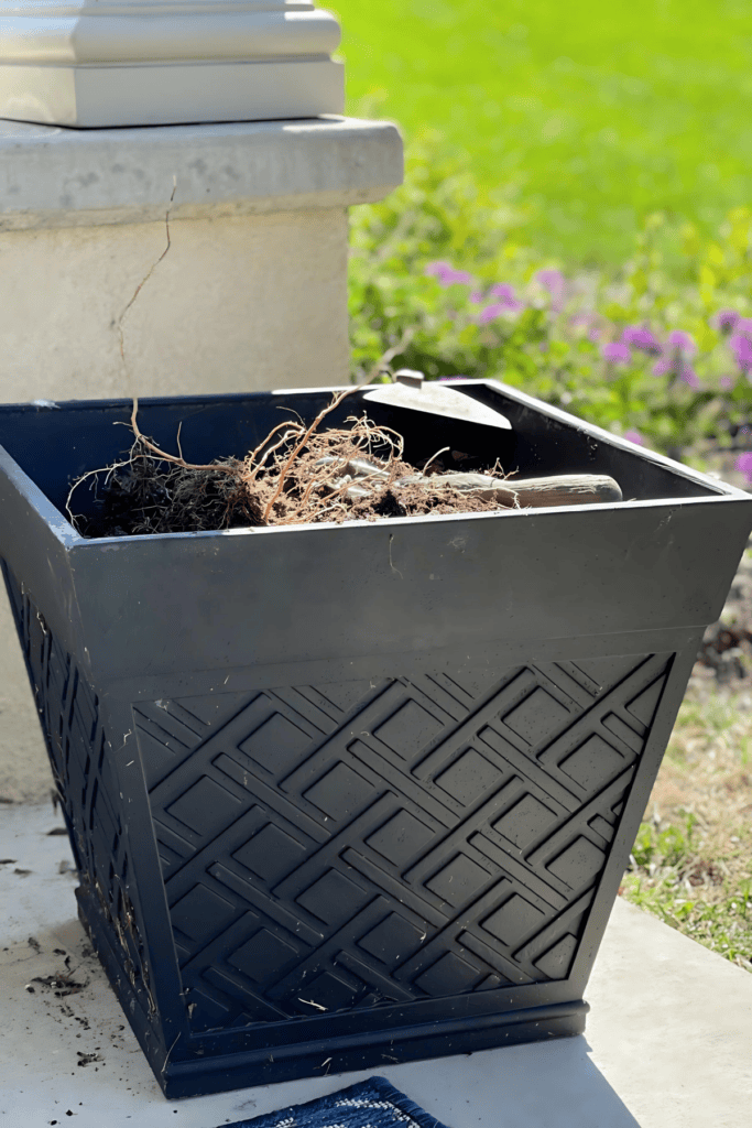 FALL PLANTER - PREPARING THE POT