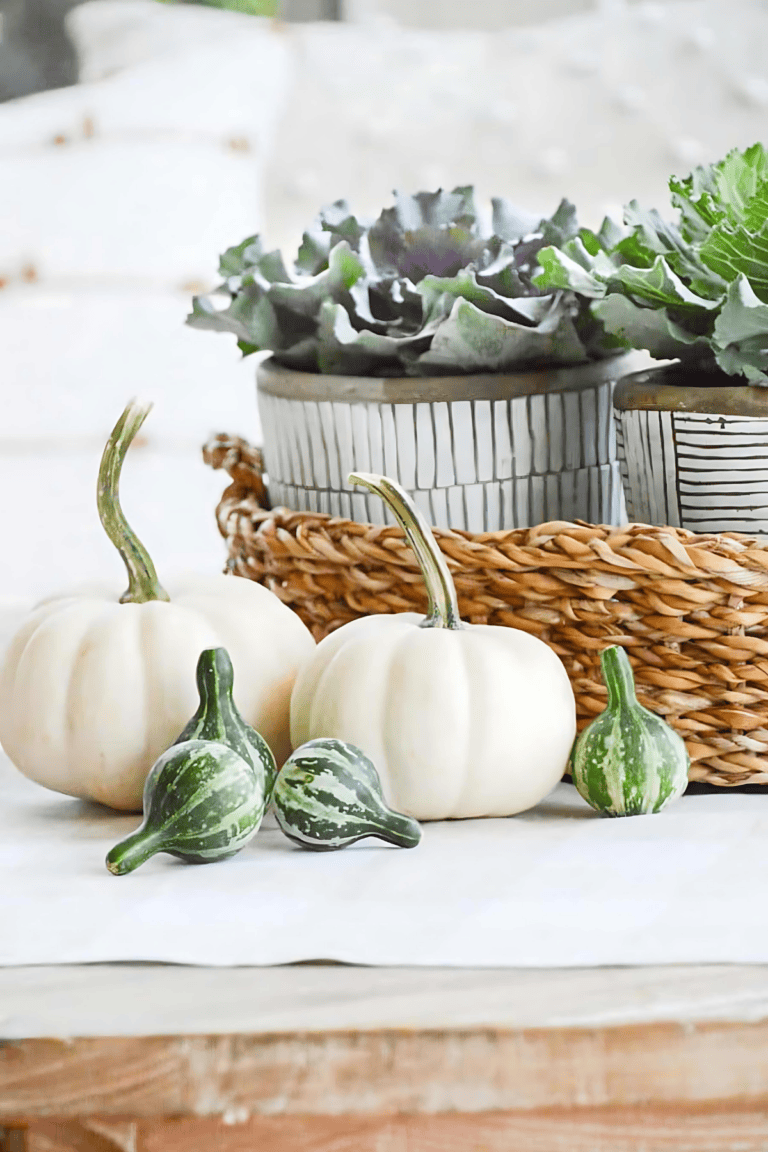 Fall Accent Decor Ideas You’ll Love To Use In Your Home