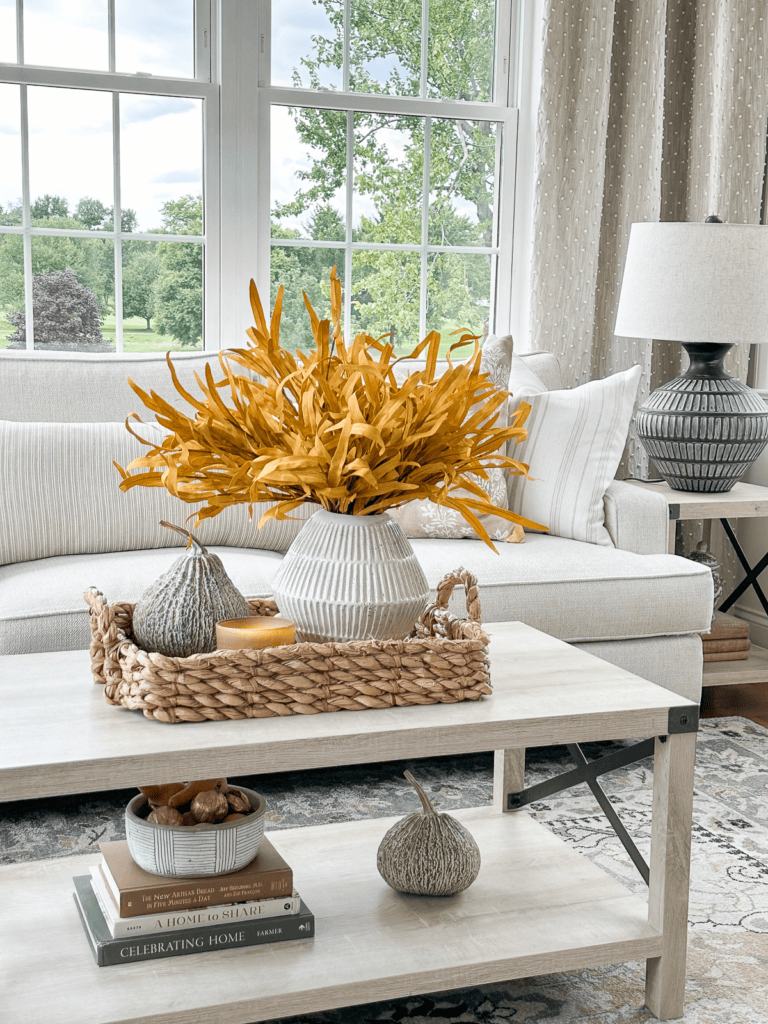 budget-friendly vignette on a coffee table