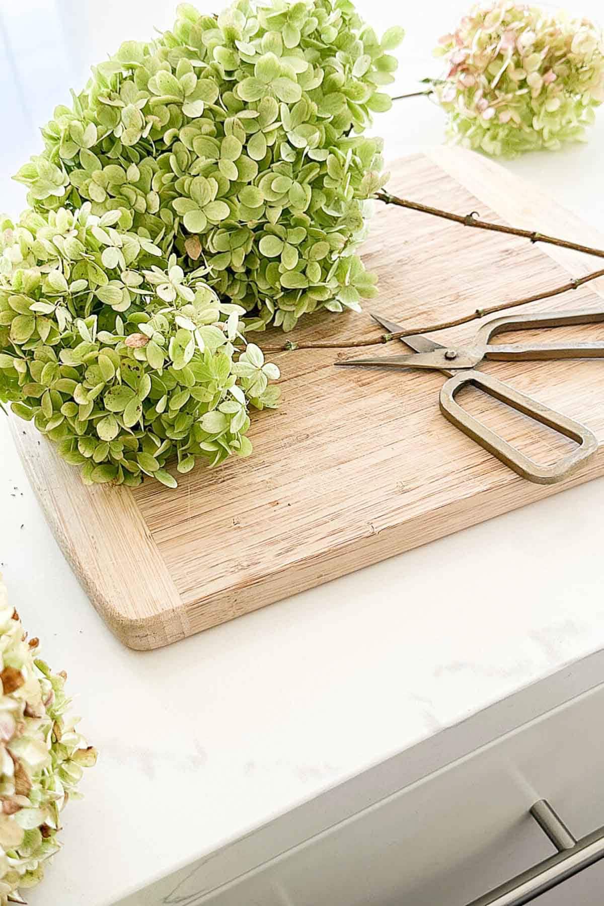 dried hydrangeas on a cutting board
