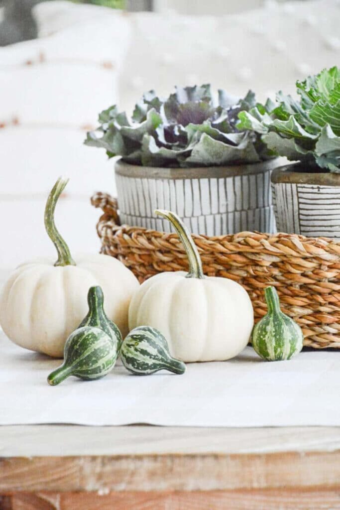 basket of ornamental cabbages and pumpkins